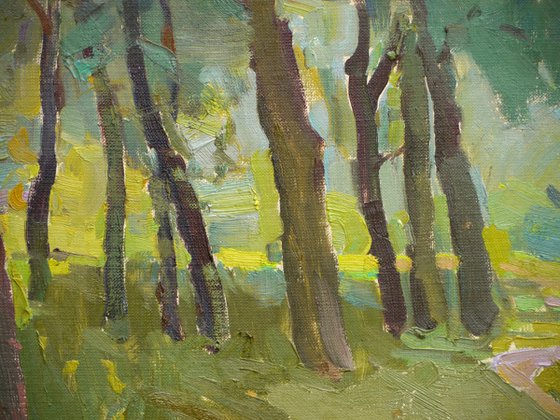 Autumn. Trees on the lawn