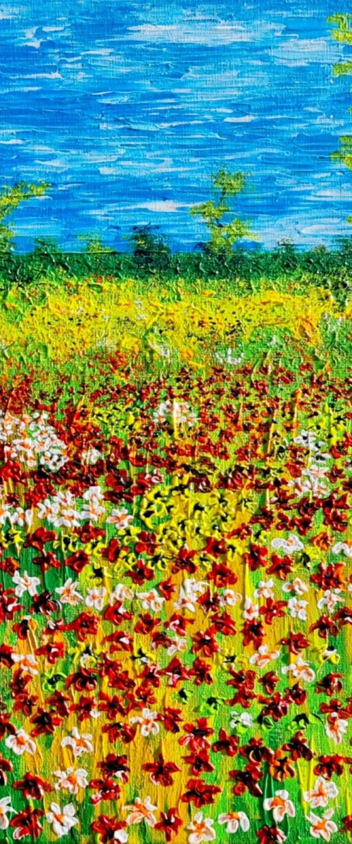 Colored meadow 2 by Daniel Urbaník