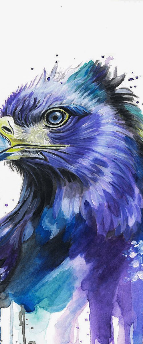Colourful Eagle Painting by Sandy Broenimann