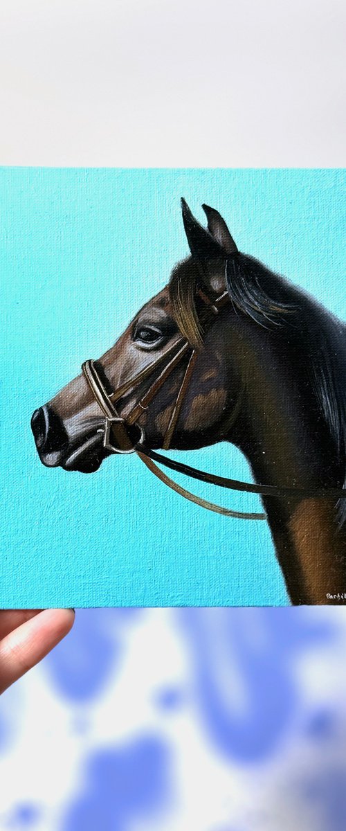 Horse Portrait 23 by Anastasia Parfilo