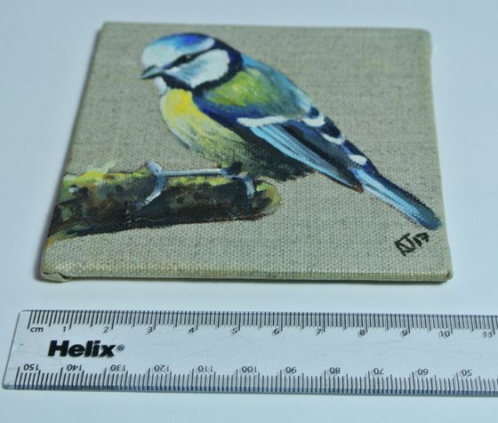 Blue tit Miniature painting, Bird Artwork, Framed and Ready to Hang