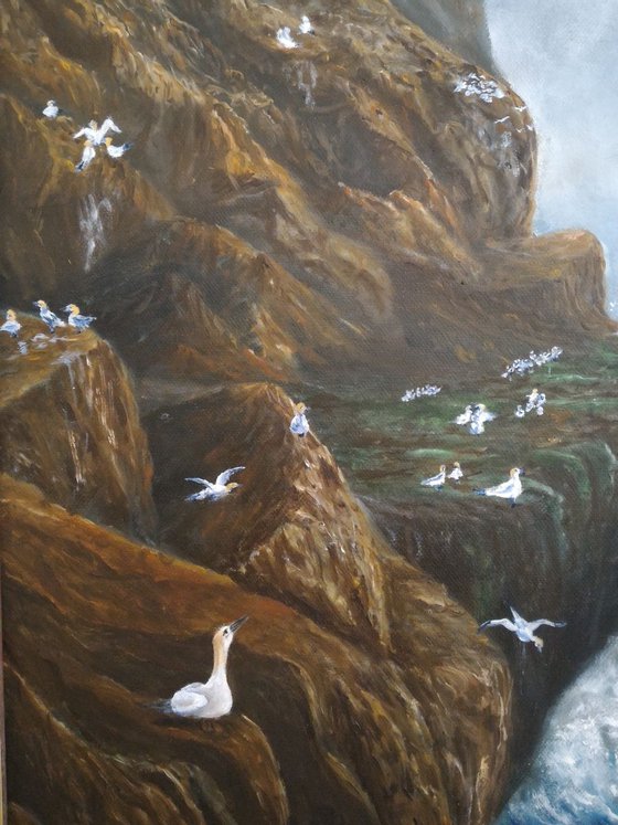 Gannets's nests, inspired by Peter Graham