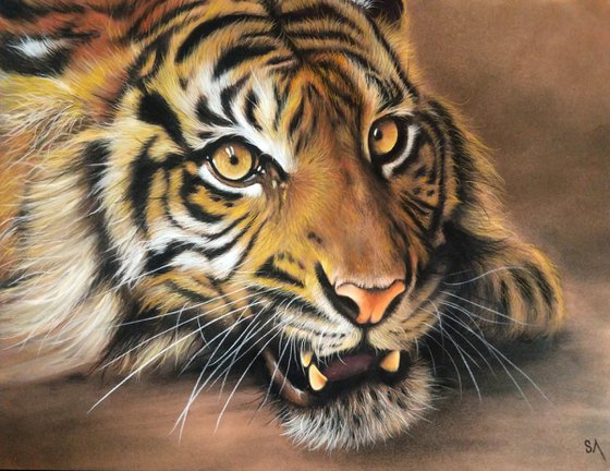 Tiger's Stare Original Big cat Painting)