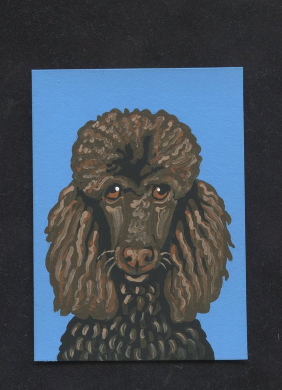 ACEO ATC Original Miniature Painting Brown Poodle Pet Dog Art-Carla Smale