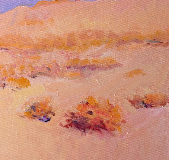 Soft Evening Light