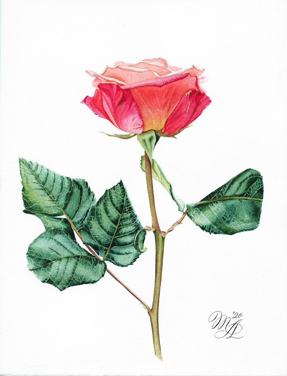 Atomic Rose by Maiia Axton
