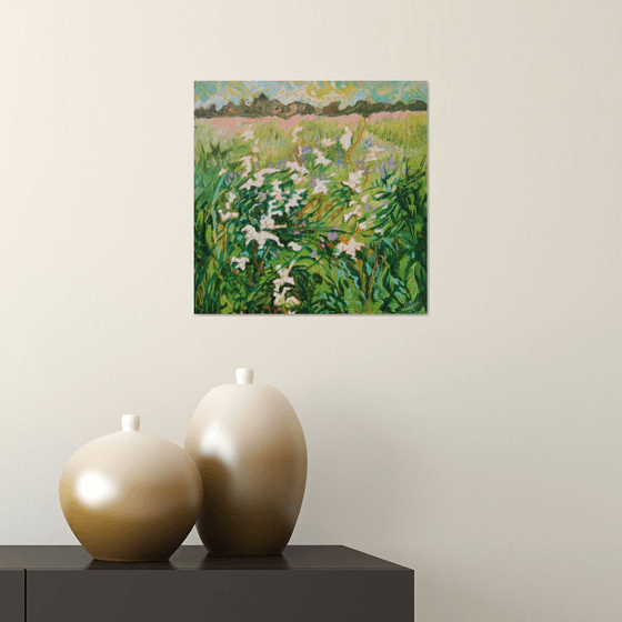 Tangled Meadowsweet in Wildflower Meadow