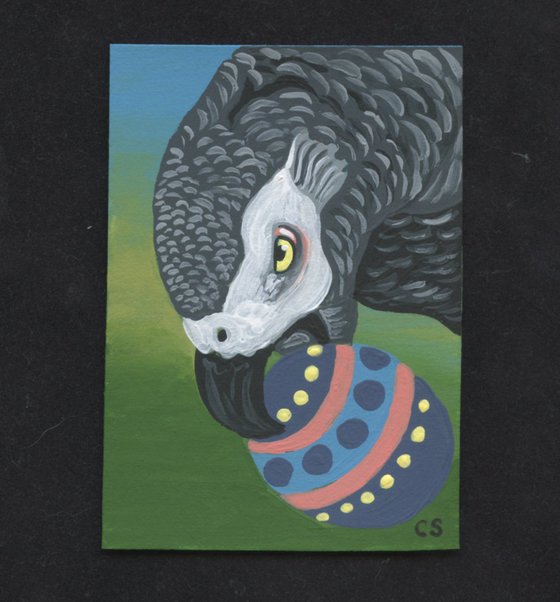 ACEO ATC Original Miniature Painting Easter African Grey Parrot Pet Bird Wildlife Art-Carla Smale