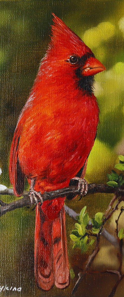 Red Cardinal with Spring Blossoms by Natalia Shaykina