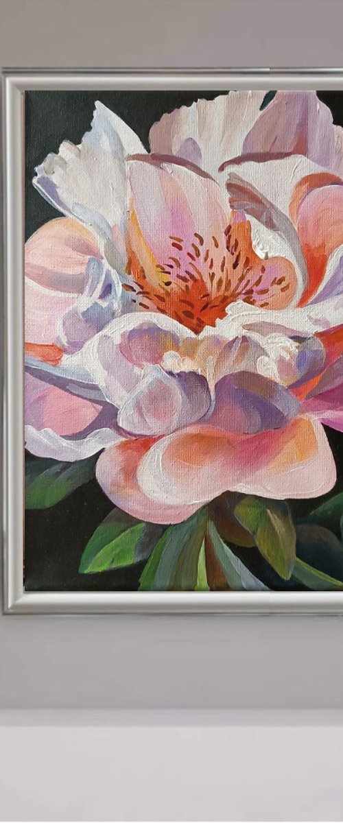 Playful Peony by Olga Lomax