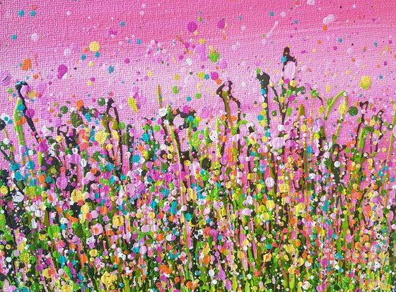 Blushing Meadows