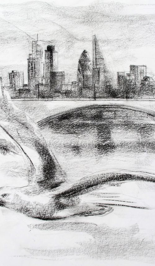 Gull ,Waterloo Bridge by John Sharp