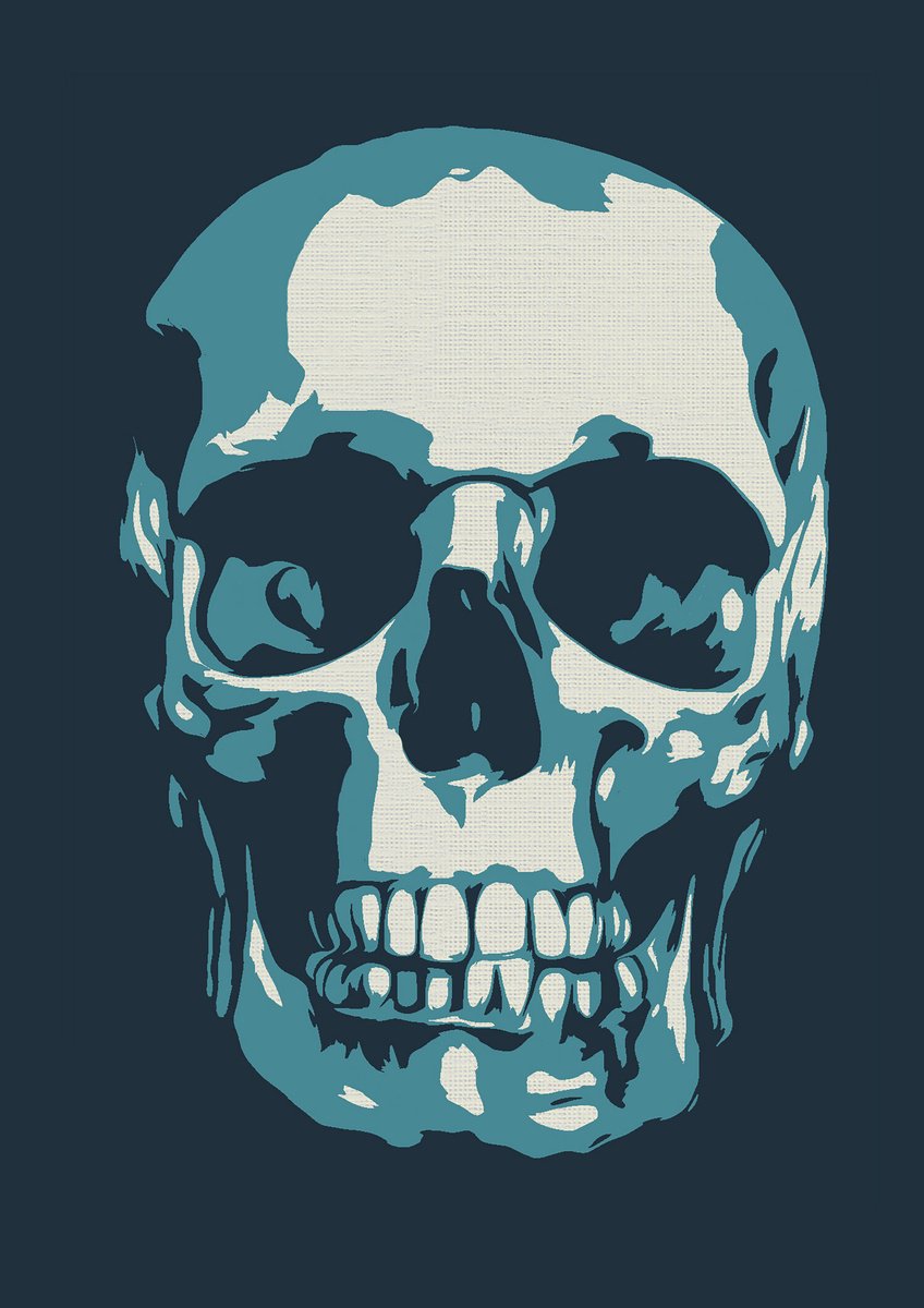 Skull by Kosta Morr