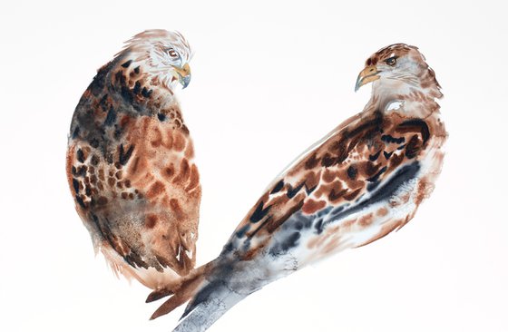 Two Hawks