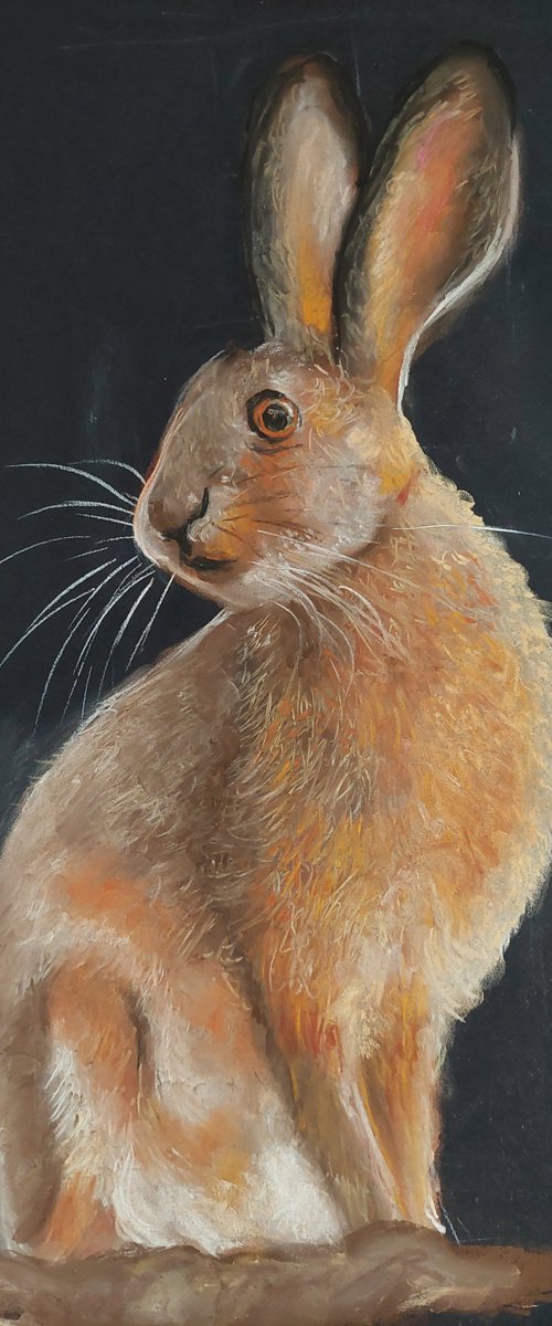 Hare by Els Driesen