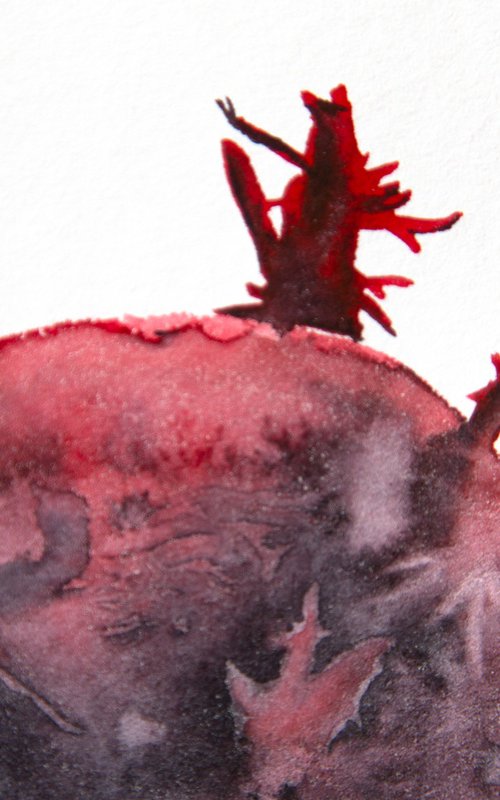 Tuber; Seeds series by Anna Belousova