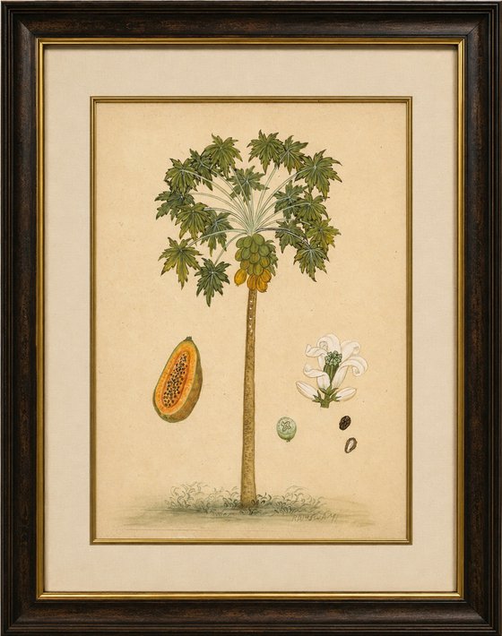 Royal Papaya Tree | Original Miniature Art