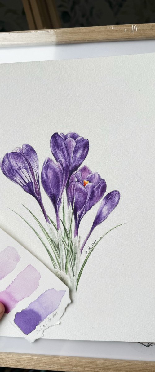 Crocuses by Julia Gorislavska