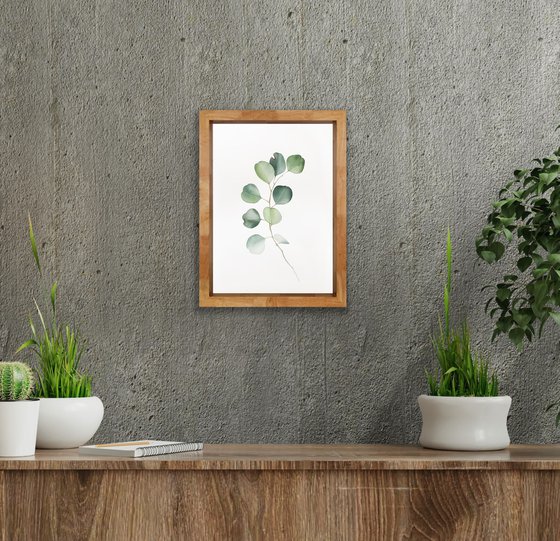 Eucalyptus branch. Original watercolour artwork.