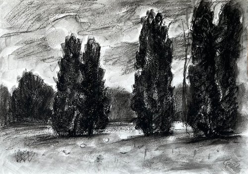 War trees, an original black white drawing, Ukrainian artwork by Roman Sergienko