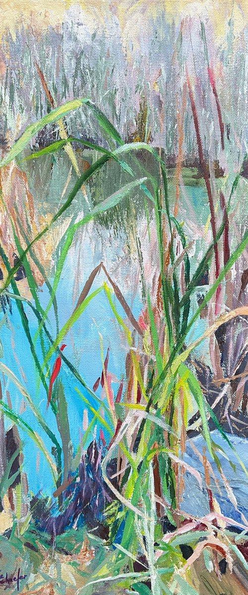 “Pond grasses” by Irene Schaefer