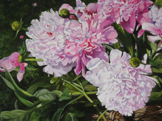 Basket of Pink Peonies