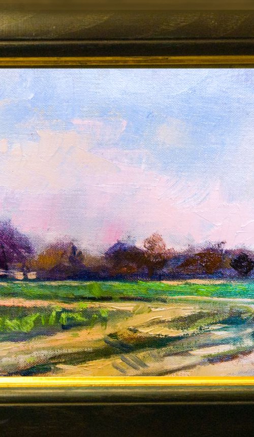 Spring in West Sussex by Andre Pallat