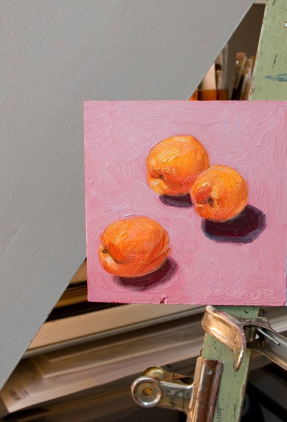 gift for food lovers: modern still life of apricots on pink background