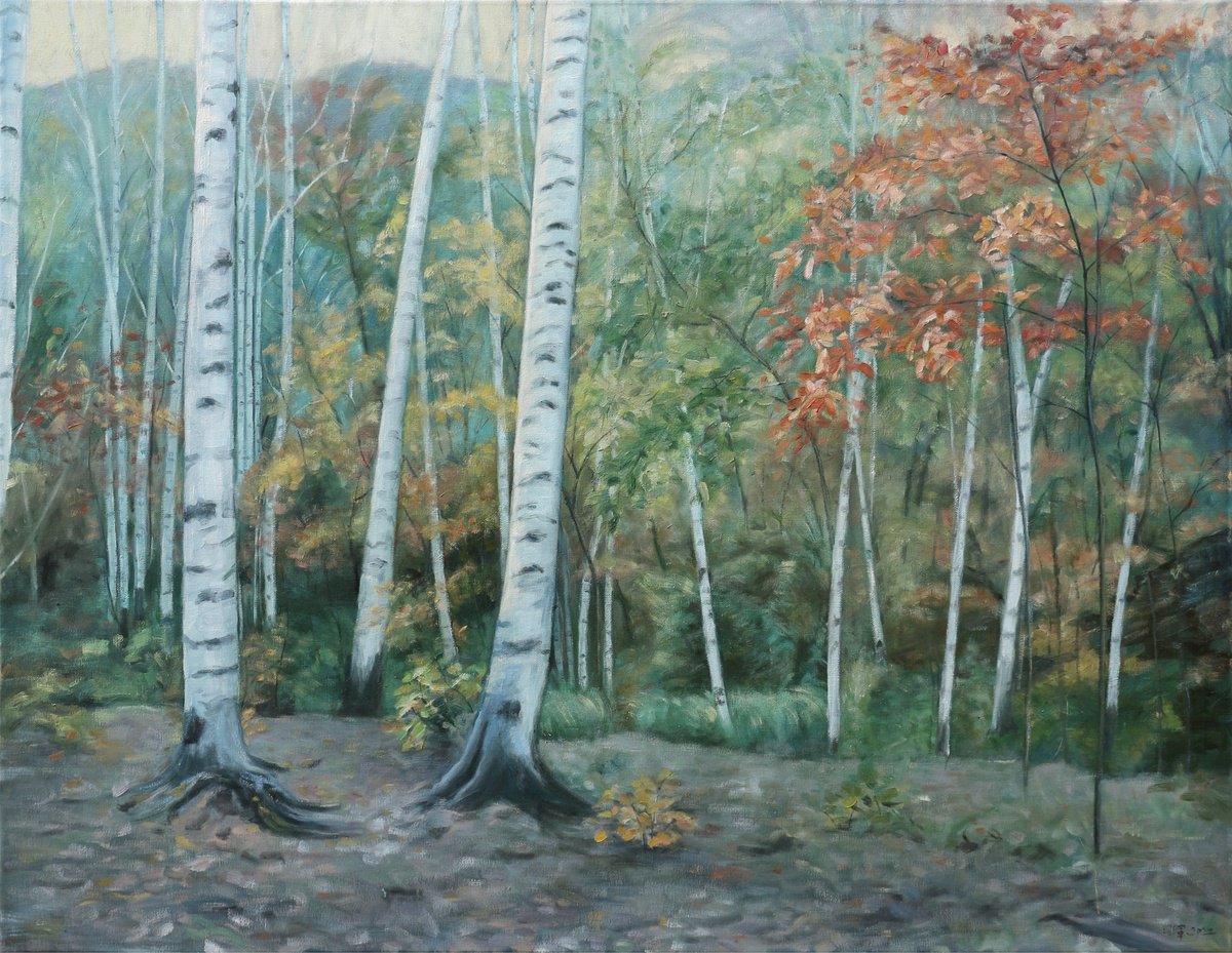 Photorealistic Oil Painting , Autumn Forest By Zhao Hui Yang, 35 X 28, Artwork For Sale On Artfinder