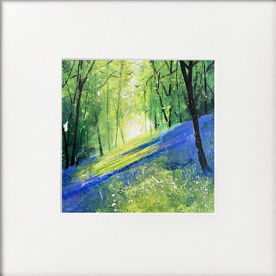 Seasons - Light Across Bluebell Bank framed