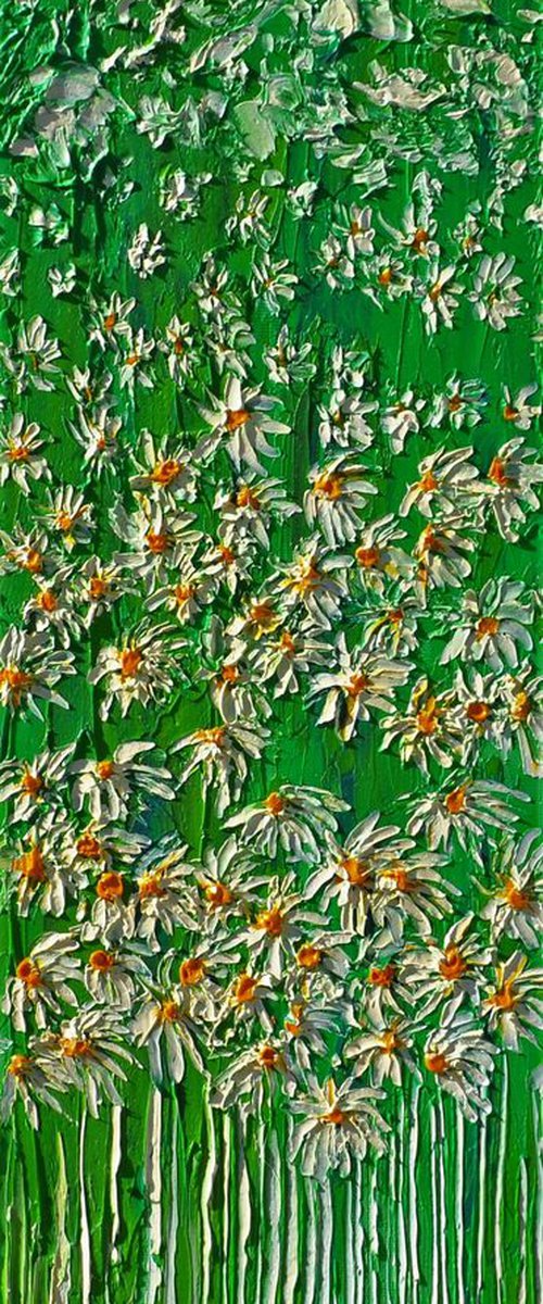 Daisies In The Grass 2 by Daniel Urbaník