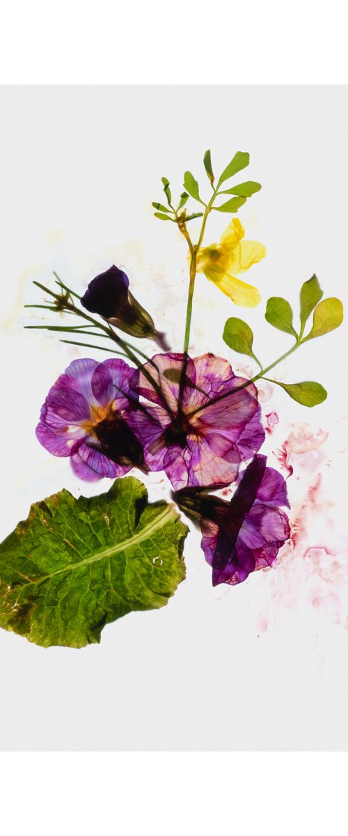 Watercolour by V Sebastian