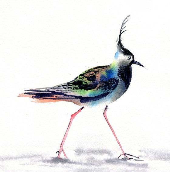 Lapwing, walking to 2021, 37,5x27,5 cm watercolor, still life with bright bird, gift idea, medium