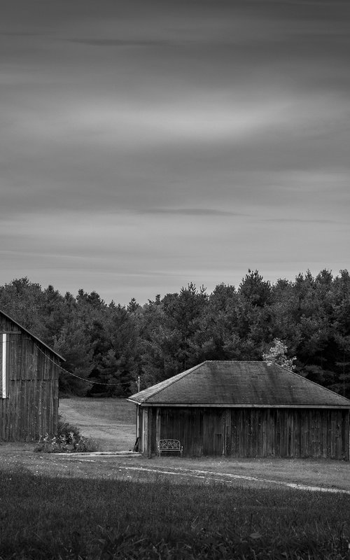 Fall Colors by Robert Tolchin