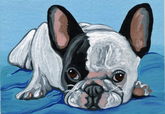 ACEO ATC Original Miniature Painting  French Bulldog Pet Dog Art-Carla Smale