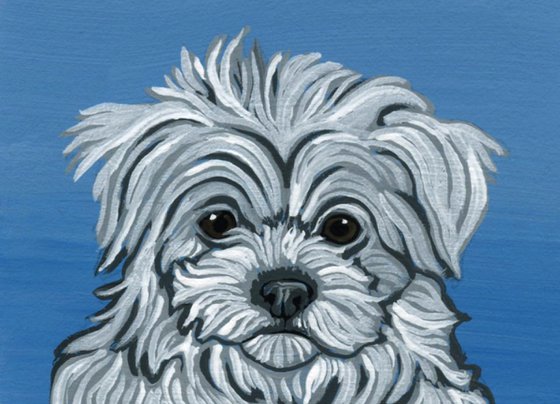 ACEO ATC Original Miniature Painting Maltese Pet Dog Art-Carla Smale