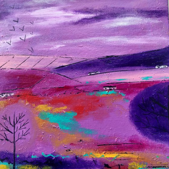 Purple Rush - Scottish Landscape