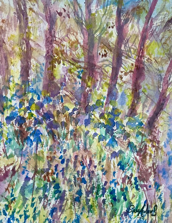 Spring bluebells