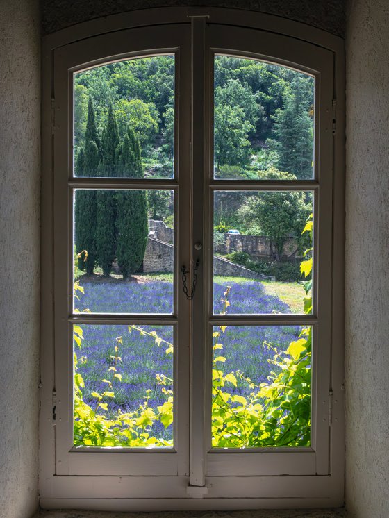 A WINDOW OF NATURE