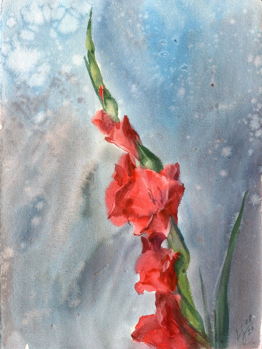Red Gladiolus by SVITLANA LAGUTINA