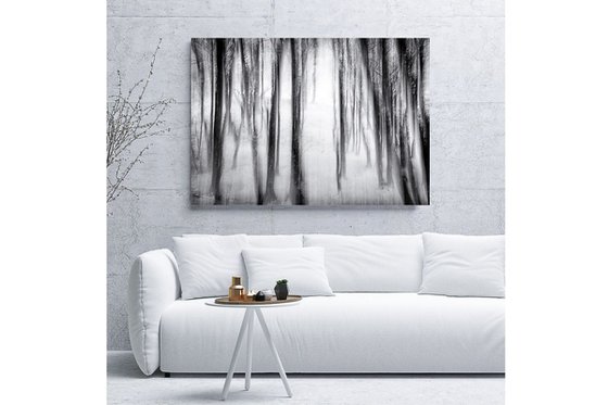 Into the Light - Large Black and White Abstract on Canvas