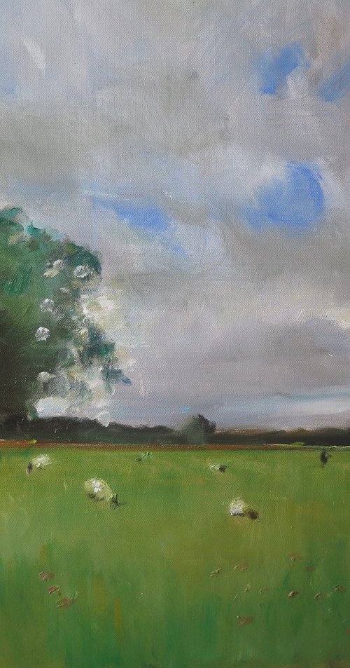 Tilmire Common by Malcolm Ludvigsen