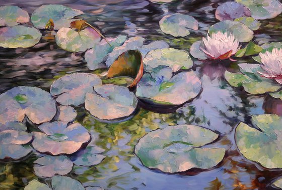 "Waterlily Melody"