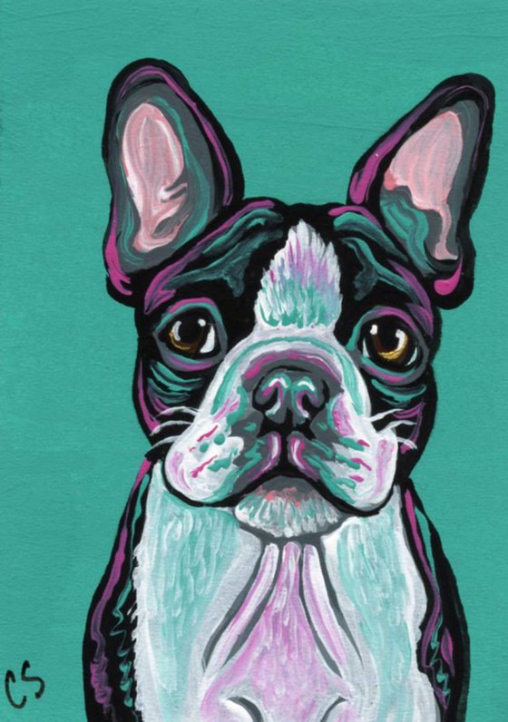 ACEO ATC Original Painting Boston Terrier Pet Dog Art-Carla Smale