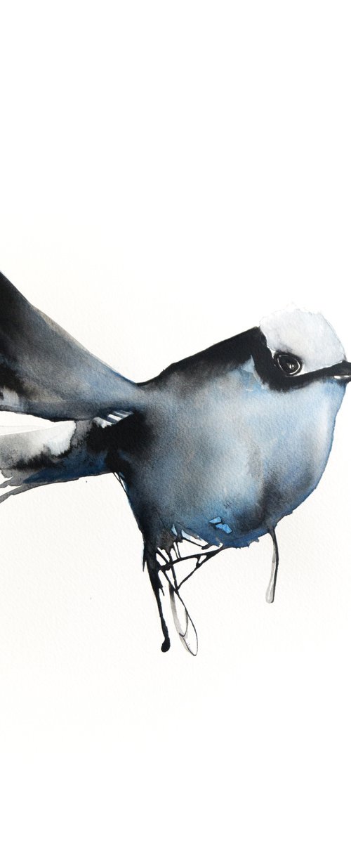 Bird by Nadia Moniatis