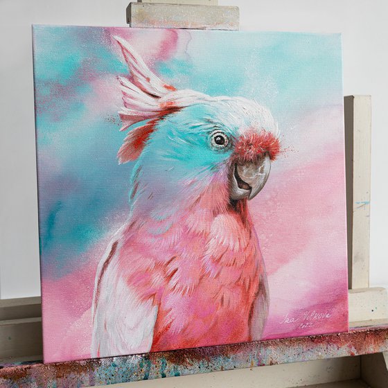 Pink cockatoo