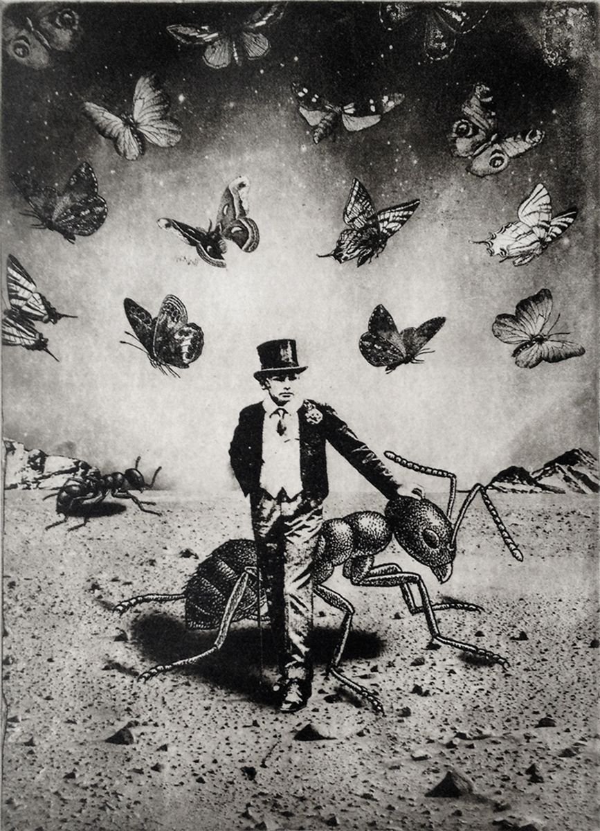 Portrait Etchings & Engravings By Jaco Putker, 8 X 11, The Boy And The Ants, Original Artwork