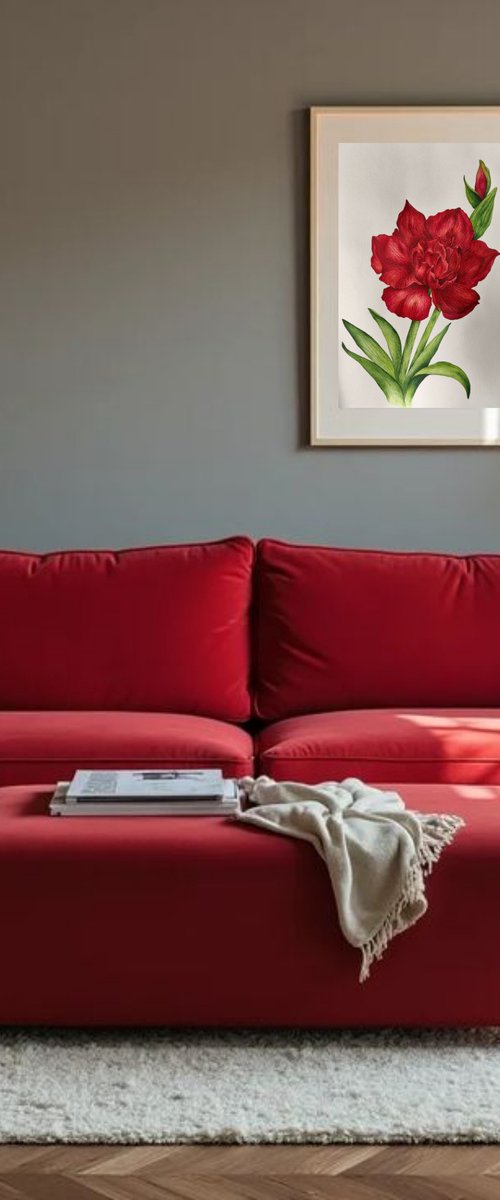 Red Amaryllis Flower by DIANA ARTY