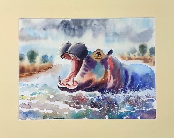 African Hippopotamus