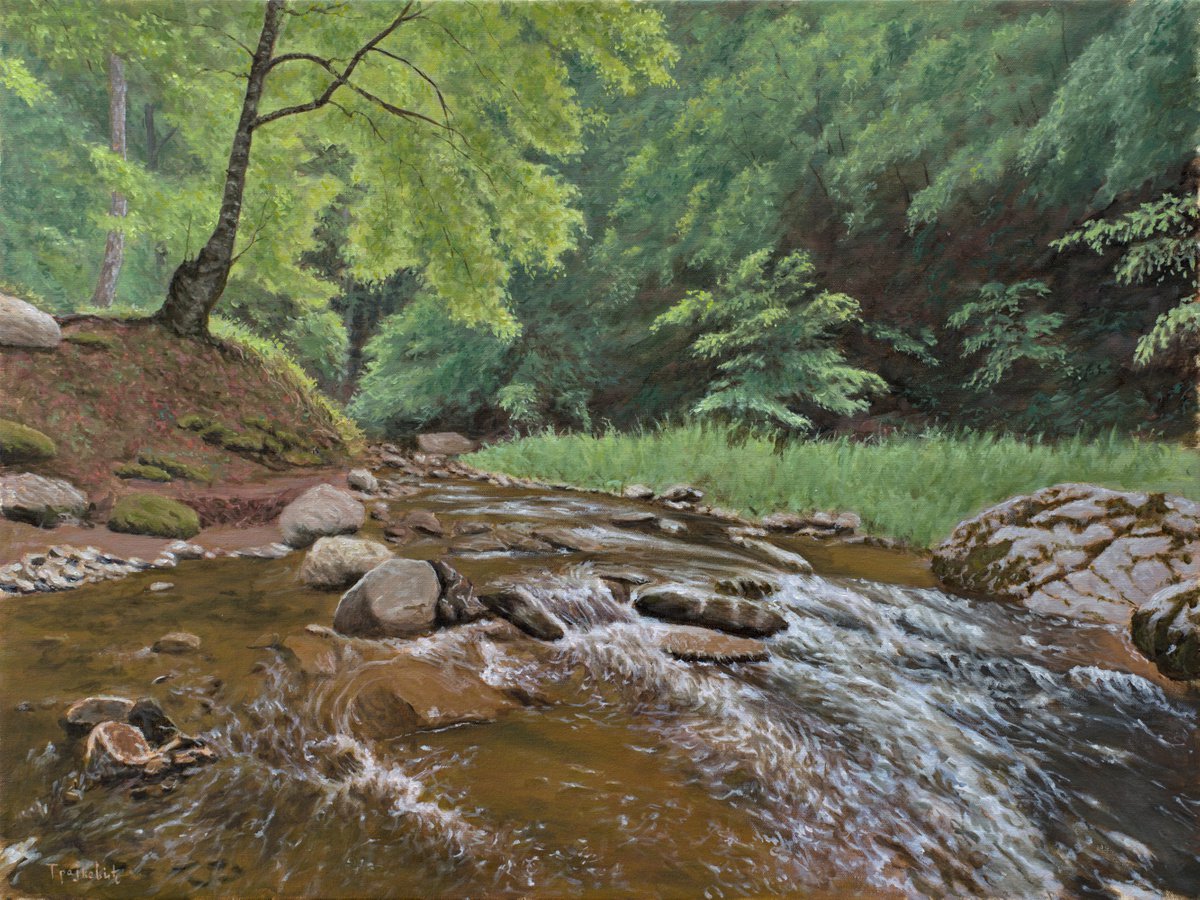Impressionistic Landscape Oil Painting By Dejan Trajkovic, 31 X 24, Stream And Rock, Original Artwork